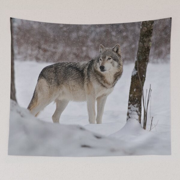 Item preview, Timber Wolf designed and sold by WolvesOnly.