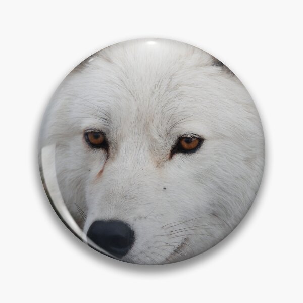 Artikelvorschau, Arctic Wolf entworfen und verkauft von WolvesOnly.