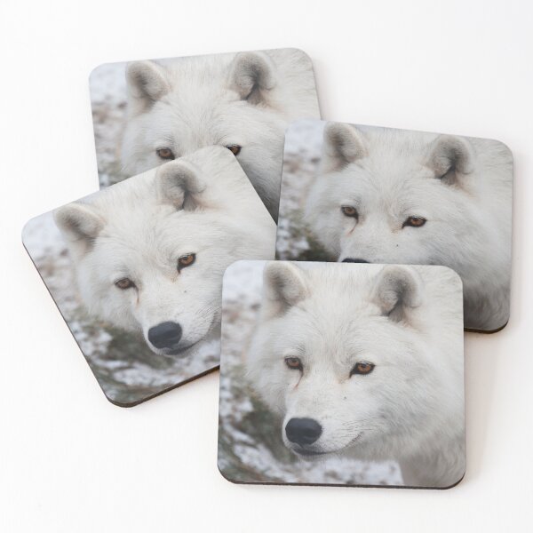 Artikelvorschau, Arctic Wolf entworfen und verkauft von WolvesOnly.
