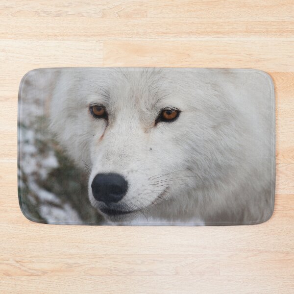 Artikelvorschau, Arctic Wolf entworfen und verkauft von WolvesOnly.