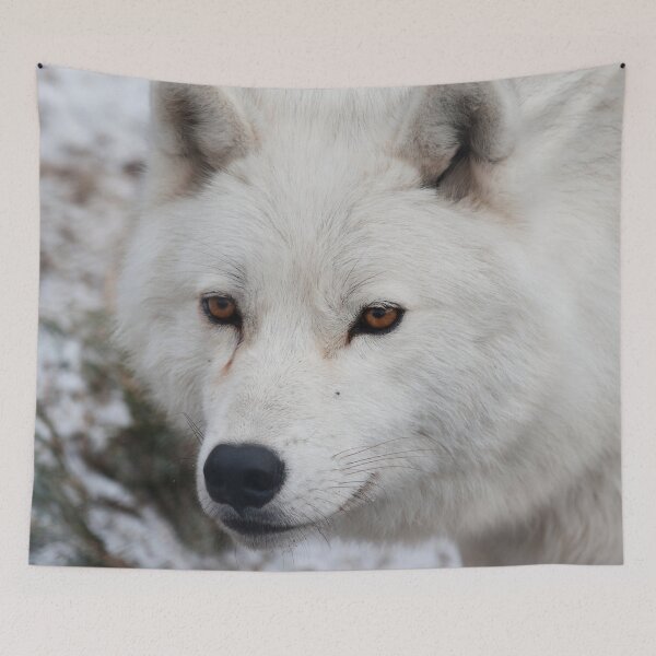 Item preview, Arctic Wolf designed and sold by WolvesOnly.