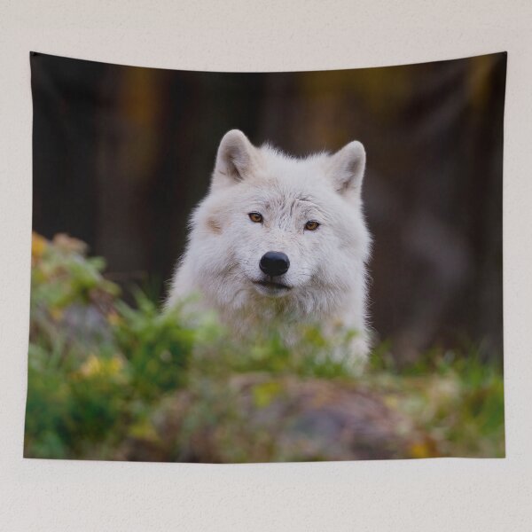 Item preview, Arctic Wolf designed and sold by WolvesOnly.