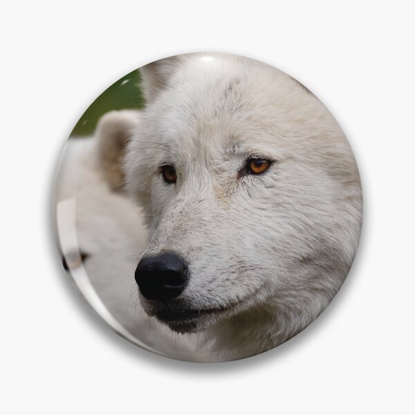 Item preview, Arctic Wolves designed and sold by WolvesOnly.