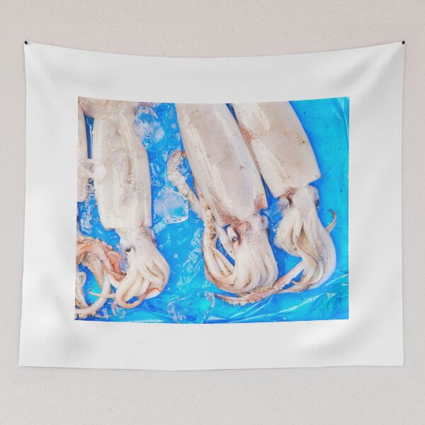 Item preview, squid photo with high resolution quality designed and sold by Allyouneed-2.