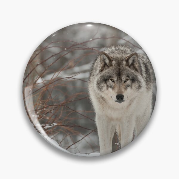 Item preview, Timber Wolf designed and sold by WolvesOnly.