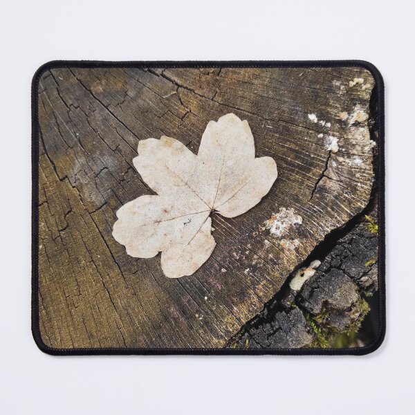 Item preview, Leaf alone designed and sold by DettyArt.