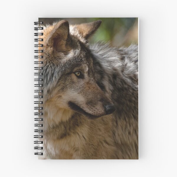 Artikelvorschau, Timber Wolf entworfen und verkauft von WolvesOnly.