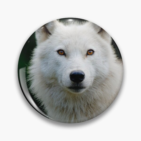Item preview, Arctic Wolf designed and sold by WolvesOnly.