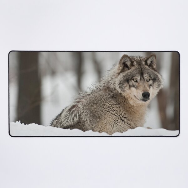 Artikelvorschau, Timber Wolf entworfen und verkauft von WolvesOnly.