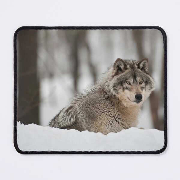 Artikelvorschau, Timber Wolf entworfen und verkauft von WolvesOnly.