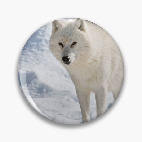 Item preview, Arctic Wolf designed and sold by WolvesOnly.