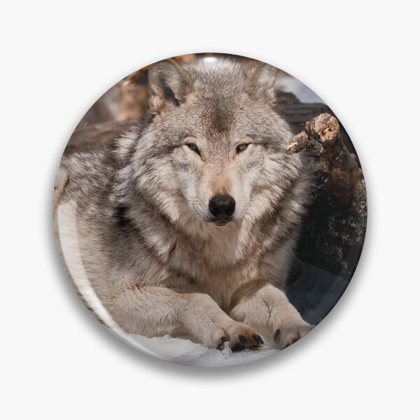 Item preview, Timber Wolf designed and sold by WolvesOnly.