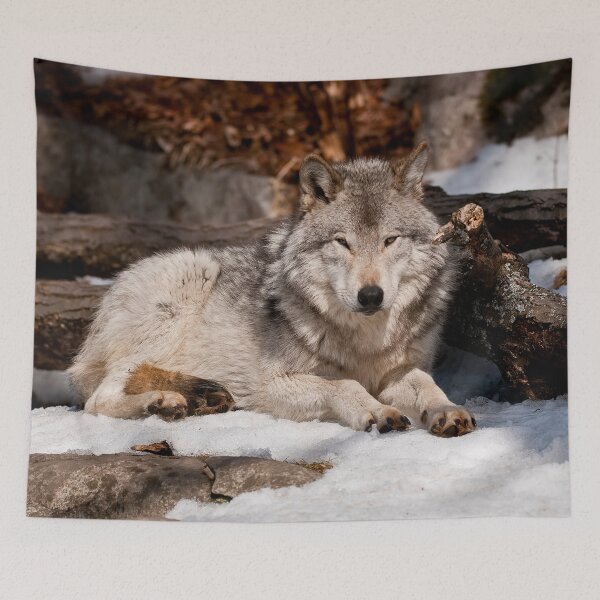 Item preview, Timber Wolf designed and sold by WolvesOnly.