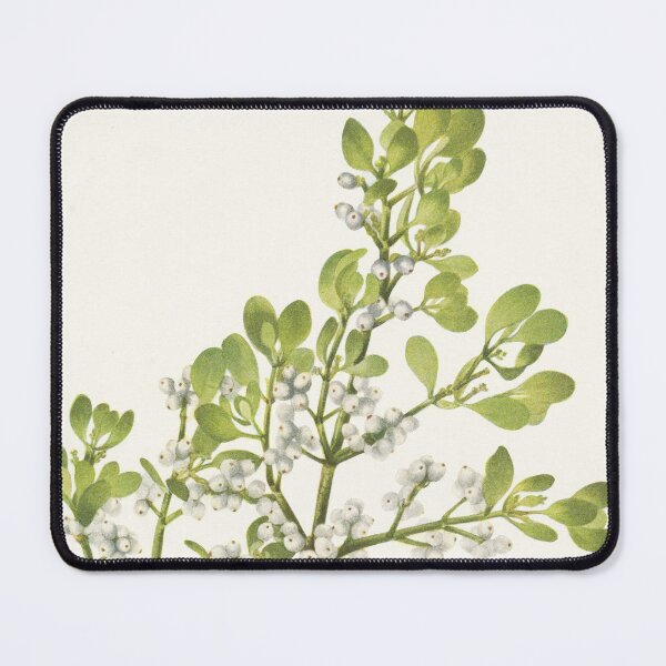 Item preview, American mistletoe - Botanical Illustration designed and sold by chimakingthings.