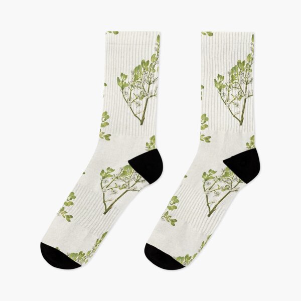 Item preview, American mistletoe - Botanical Illustration designed and sold by chimakingthings.