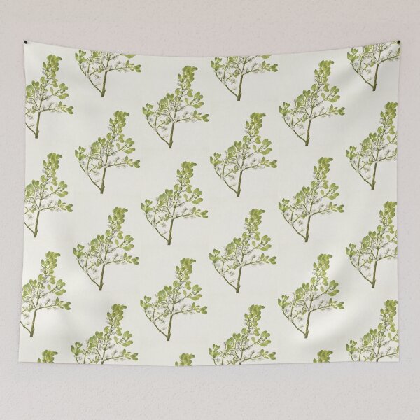 Item preview, American mistletoe - Botanical Illustration designed and sold by chimakingthings.