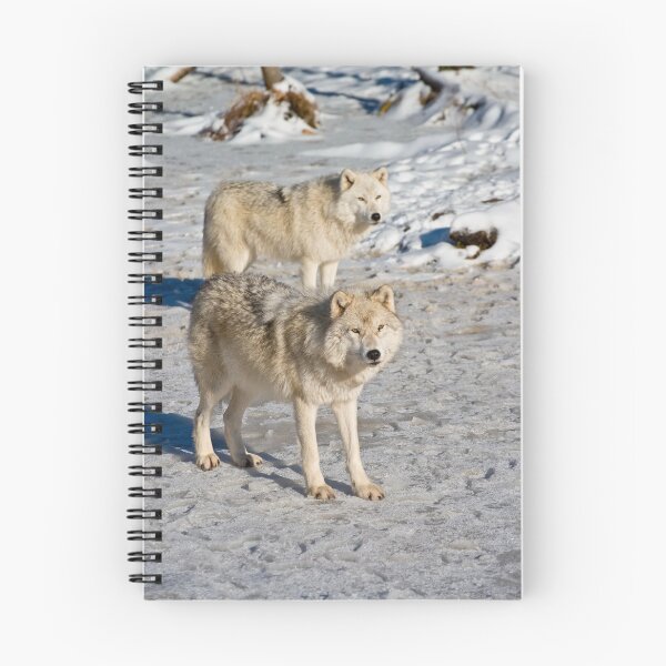 Item preview, Arctic Wolves designed and sold by WolvesOnly.