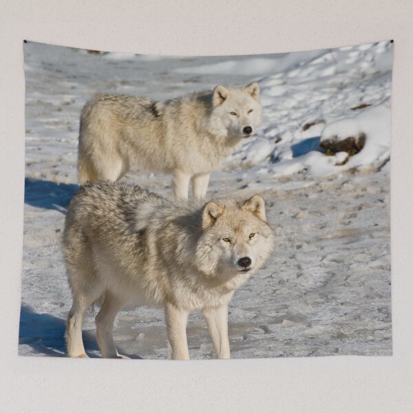 Item preview, Arctic Wolves designed and sold by WolvesOnly.