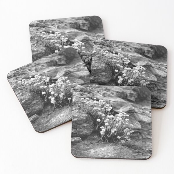 Item preview, Life On a Rock designed and sold by Paul-Berry.