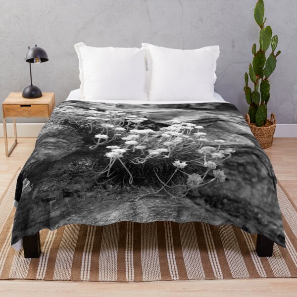 Item preview, Life On a Rock designed and sold by Paul-Berry.