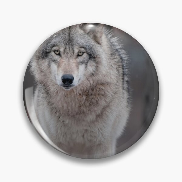 Item preview, Timber Wolf designed and sold by WolvesOnly.