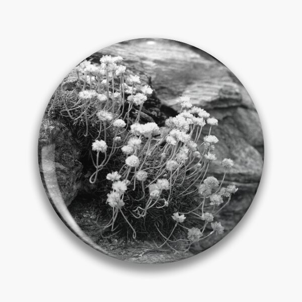 Item preview, Life On a Rock designed and sold by Paul-Berry.