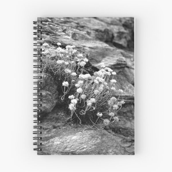 Item preview, Life On a Rock designed and sold by Paul-Berry.