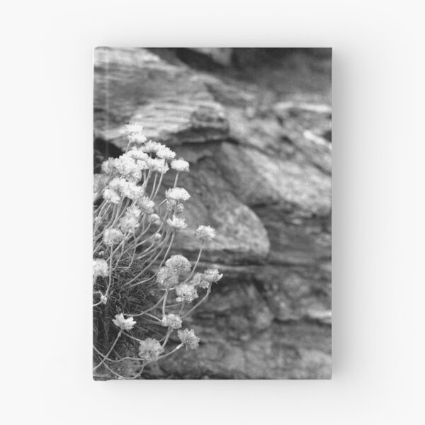 Item preview, Life On a Rock designed and sold by Paul-Berry.