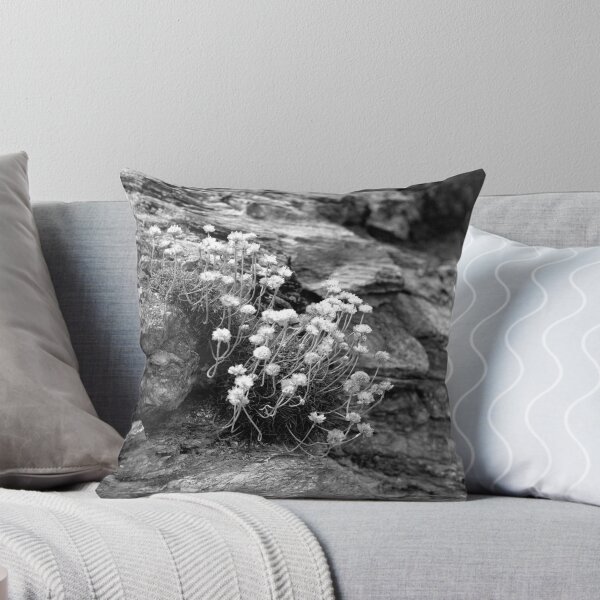 Item preview, Life On a Rock designed and sold by Paul-Berry.