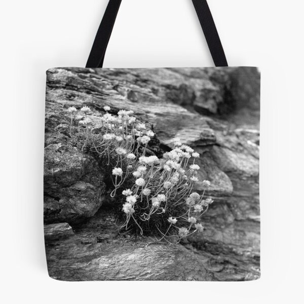 Item preview, Life On a Rock designed and sold by Paul-Berry.