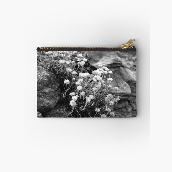 Item preview, Life On a Rock designed and sold by Paul-Berry.