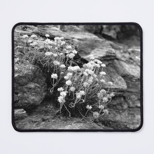 Item preview, Life On a Rock designed and sold by Paul-Berry.