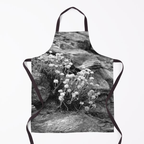 Item preview, Life On a Rock designed and sold by Paul-Berry.