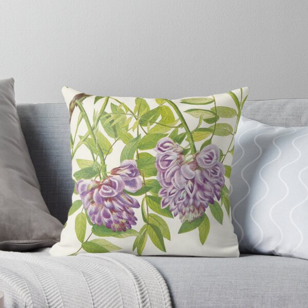 Item preview, American wisteria - Botanical Illustration designed and sold by chimakingthings.