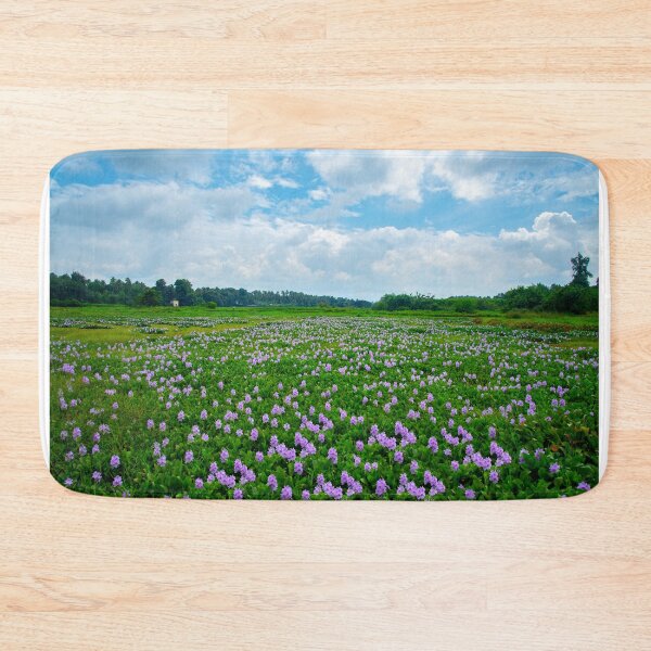 Item preview, Paddy field filled with Water Hyacinth flowers designed and sold by miljuvarghese.
