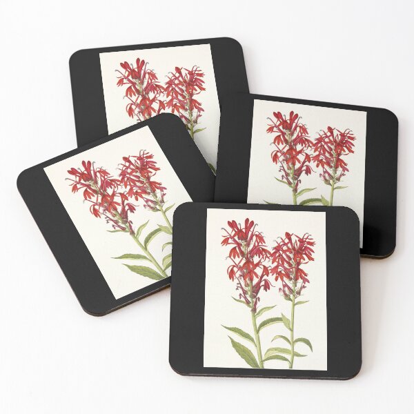 Item preview, Cardinal flower - Botanical Illustration designed and sold by chimakingthings.