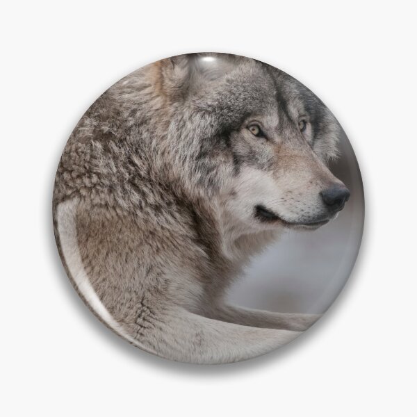 Artikelvorschau, Timber Wolf entworfen und verkauft von WolvesOnly.