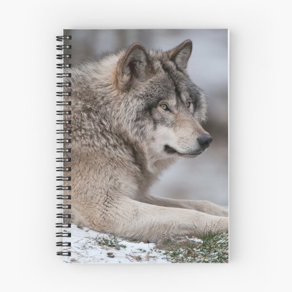 Artikelvorschau, Timber Wolf entworfen und verkauft von WolvesOnly.