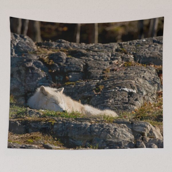Artikelvorschau, Arctic Wolf entworfen und verkauft von WolvesOnly.