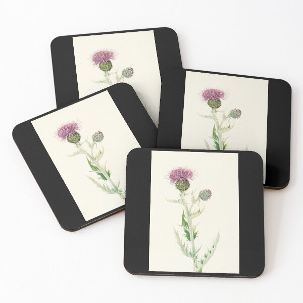 Item preview, Prairie Thistle - Botanical Illustration designed and sold by chimakingthings.