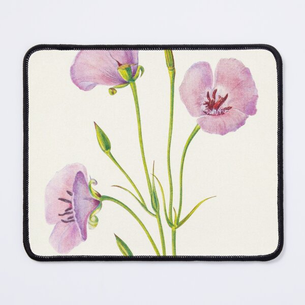 Item preview, Splendid mariposa lily - Botanical Illustration designed and sold by chimakingthings.