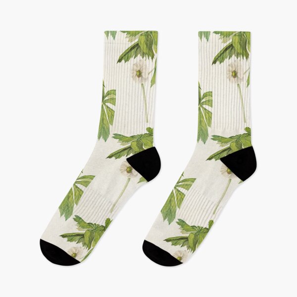 Item preview, Mayapple - Botanical Illustration designed and sold by chimakingthings.