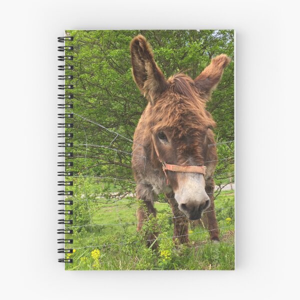 Item preview, Donkey in the mountains designed and sold by AHELENE.