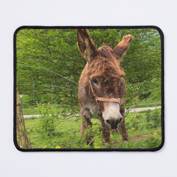 Item preview, Donkey in the mountains designed and sold by AHELENE.
