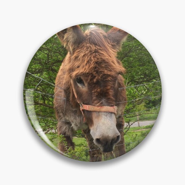 Item preview, Donkey in the mountains designed and sold by AHELENE.