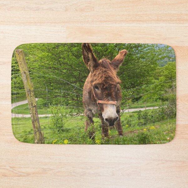 Item preview, Donkey in the mountains designed and sold by AHELENE.