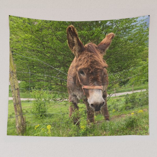 Item preview, Donkey in the mountains designed and sold by AHELENE.