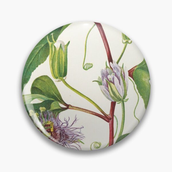 Item preview, Maypop Passionflower - Botanical Illustration designed and sold by chimakingthings.