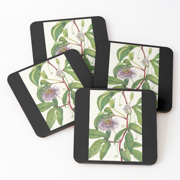 Item preview, Maypop Passionflower - Botanical Illustration designed and sold by chimakingthings.