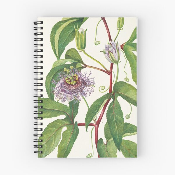 Item preview, Maypop Passionflower - Botanical Illustration designed and sold by chimakingthings.